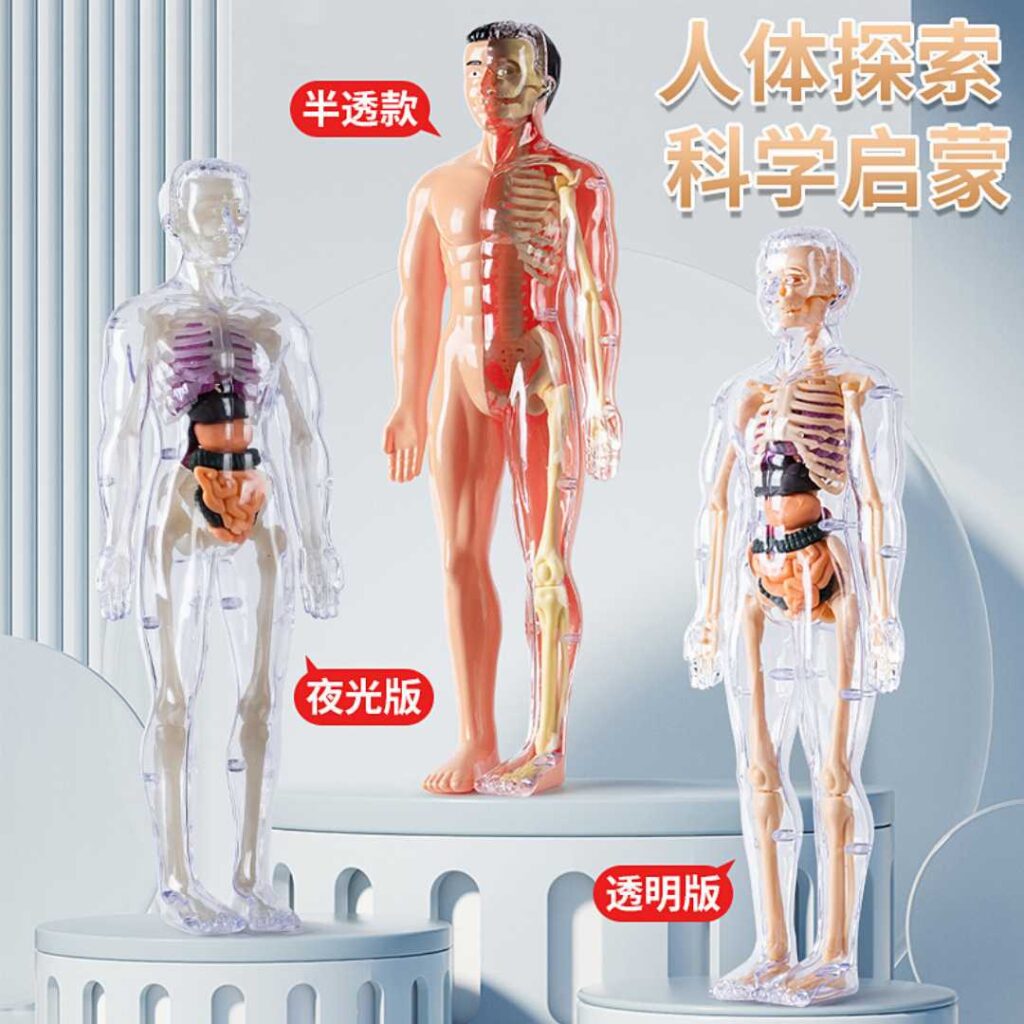 Human Body Kit